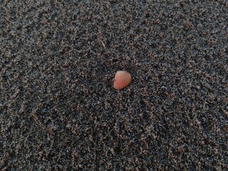 black sand beach