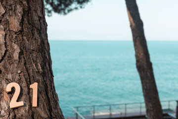 Wooden figures of the year 2021 are on the brown bark of a tree against the blue sea. Copy space.