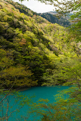 日本　静岡県川根本町、寸又峡の景色