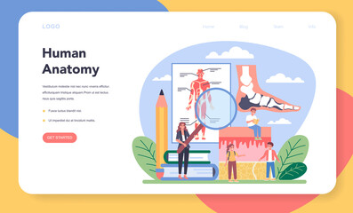 Anatomy school subject web banner or landing page. Internal human