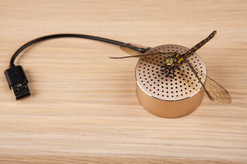 image of sound speaker dragonfly wooden desk background 