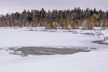 Winter landscape. A frozen forest lake with an ice hole. Coniferous forest in the background.