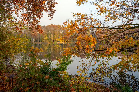 Paysage d'automne au Parc de la T&ecirc;te d'Or &agrave; Lyon en france, &agrave; l'automne