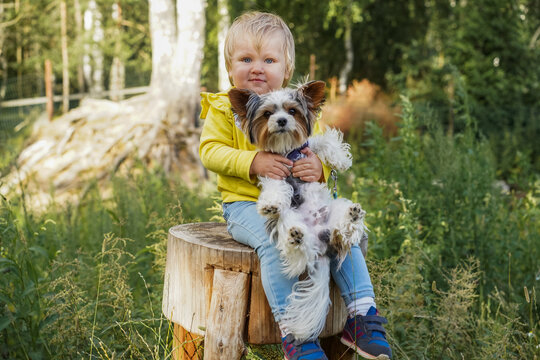 A cute caucasian blond baby girl holding a yorkshire terrier sitting on high wooden handmade tabouret in countryside. Image with selective focus