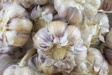 Natural, organic garlic on wooden background  
