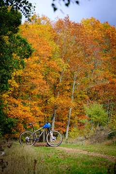 Mountain bike in autumnal forest 
