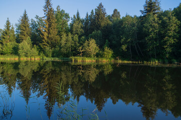 Fototapeta na wymiar Pond with calm and blue water surrounded by trees with beautiful reflections in the water. Green reeds in the foreground