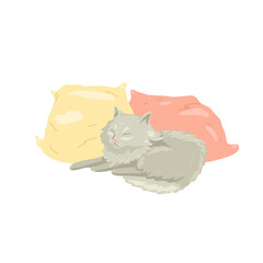 Fluffy gray cat sleeping on pillows, sleeping pet. Vector flat drawing of animal character. Isolated on white background