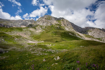 Fototapeta na wymiar Beautiful summer views of blooming alpine meadows of Caucasus mountains