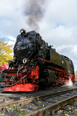 Fototapeta na wymiar The Brockenbahn locomotive of the Harz mountain national park