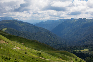 Naklejka na ściany i meble Beautiful summer views of blooming alpine meadows of Caucasus mountains