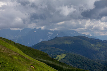 Obraz premium Beautiful summer views of blooming alpine meadows of Caucasus mountains