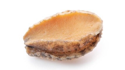 Close up of raw abalone isolated on white background, clipping path cut out.