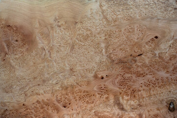 Nature marble burl wood striped is a wooden beautiful pattern for crafts