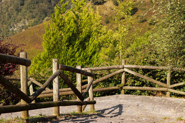 Fototapeta premium old fence in the garden