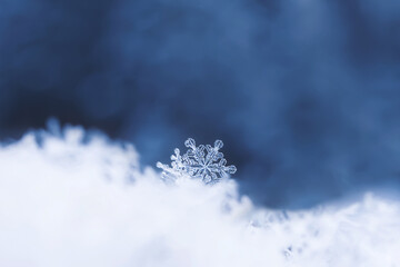 Snowflakes close-up. Macro photo. The concept of winter, cold, beauty of nature. Copy space.