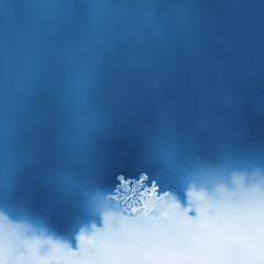 Snowflakes close-up. Macro photo. The concept of winter, cold, beauty of nature. Copy space.