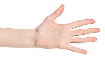Female caucasian hands isolated white background showing different gestures. woman hands showing gesture holds something or takes, gives, points