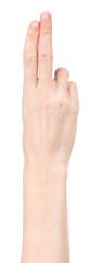 Obraz premium Female caucasian hands isolated white background showing different gestures. woman hands showing gesture holds something or takes, gives, points