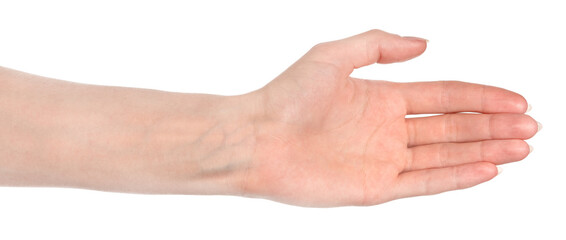 Female caucasian hands isolated white background showing different gestures. woman hands showing gesture holds something or takes, gives, points