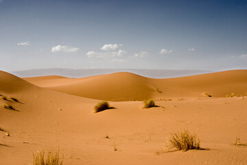Fototapeta na wymiar view of the sahara desert