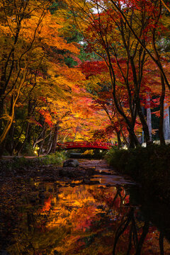 46 Best 小國神社 Images Stock Photos Vectors Adobe Stock 46 Best 小國神社 Images Stock Photos Vectors Adobe Stock