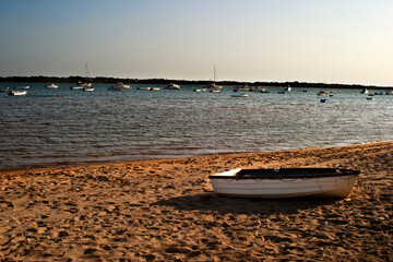 seashore on beach in Spain
