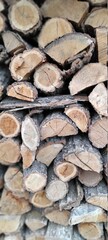 Fototapeta premium stack of firewood
