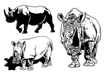 Vector collection of rhinoceroses isolated on white , vector illustration