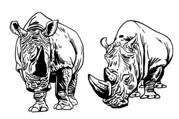 Vector collection of rhinoceroses isolated on white , vector illustration
