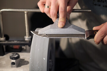 Knife sharpener and hand with blade