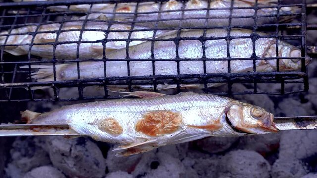 Coregonus sardinella grilled on coals. fish is fried on coals. BBQ. turn the fish over when frying, forming a delicious crust
