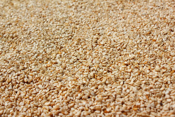 Heap of organic natural sesame seeds