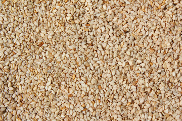 Heap of organic natural sesame seeds