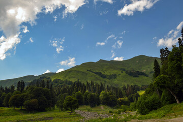 Abkhazia mountain meadows are very similar to the alps