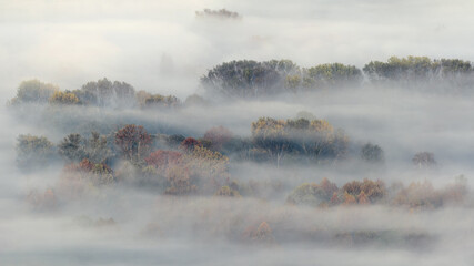 Autumn landscape with mist 