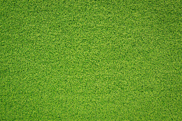 green grass background