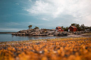 Rotes Haus am Meer in Schweden mit Blumen am Strand.