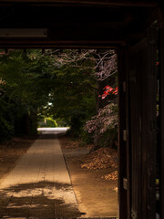 秋の石畳の参道