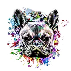 Gordijnen artistic bulldog on white background © reznik_val