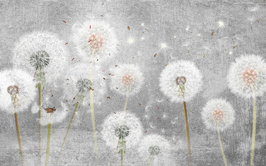 
3d picture dandelions on a gray background - obrazy, fototapety, plakaty