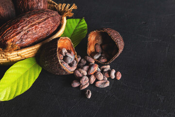 Dried cocoa and cocoa beans