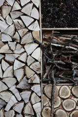 composition of firewood, logs, sticks and a cone
