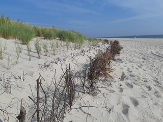 Dünenwiesen mit Ostsee 2, Hel, Polen