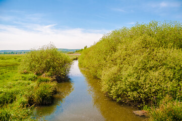  Steinhuder Meer-Meerbruchswiesen