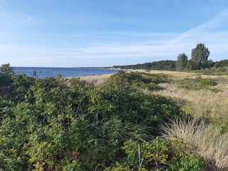 Aussicht, Dünen, Ostsee, Hel, Polen
