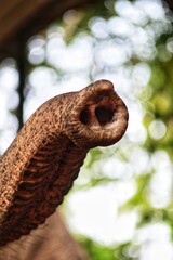 Portrait of an elephant. State Of Goa. India