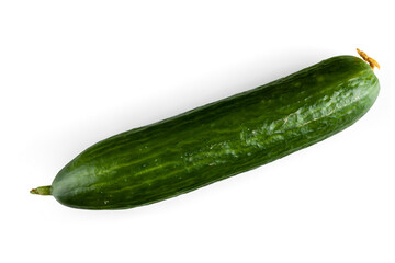 Fresh ripe cucumber