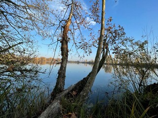Foliage d'autunno sul lago di Basiglio - Parco Sud Milano	