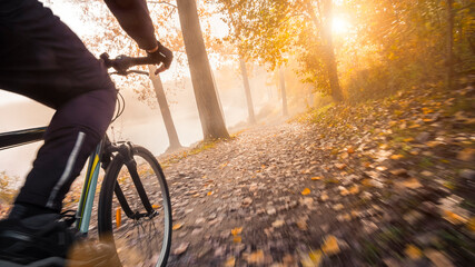 Cycling in a hazy autumn forest. Riding a bicycle, with motion blurred ground in golden sunshine. 